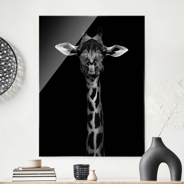 Glas Wandbilder XXL Dunkles Giraffen Portrait