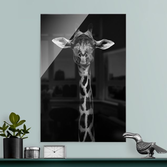 Glasbilder Schwarz-Weiß Dunkles Giraffen Portrait