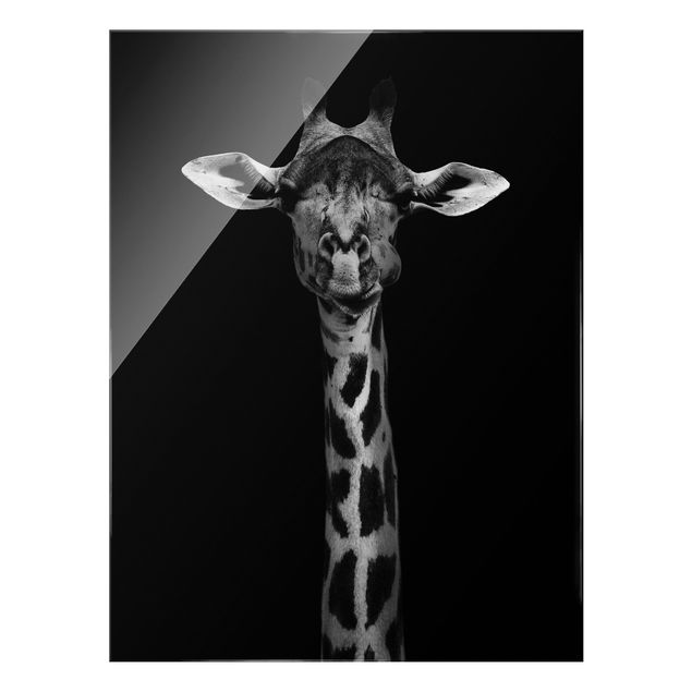 Glas Wandbilder Dunkles Giraffen Portrait
