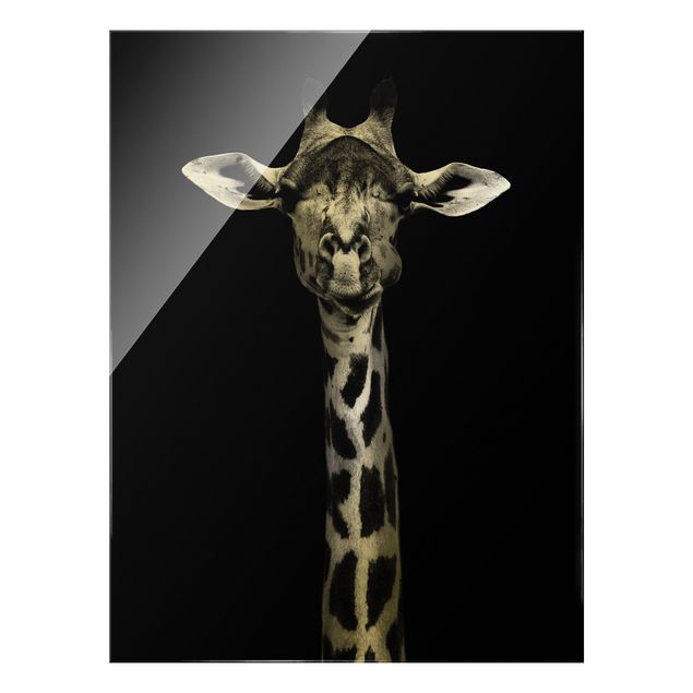 Glasbild - Dunkles Giraffen Portrait - Hochformat 4:3