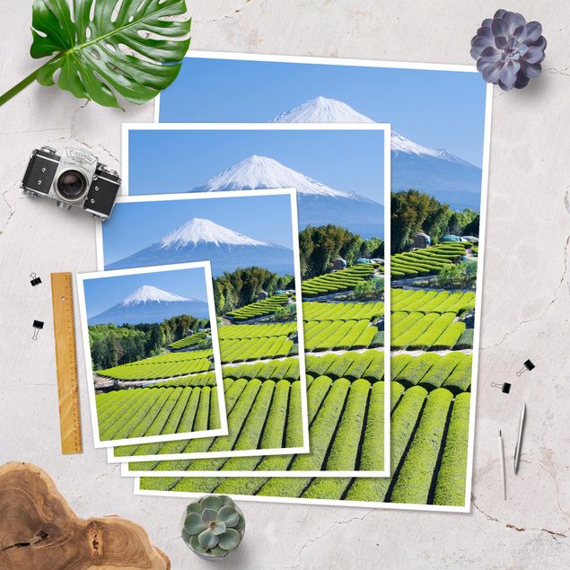 Poster - Teefelder vor dem Fuji - Hochformat 3:4