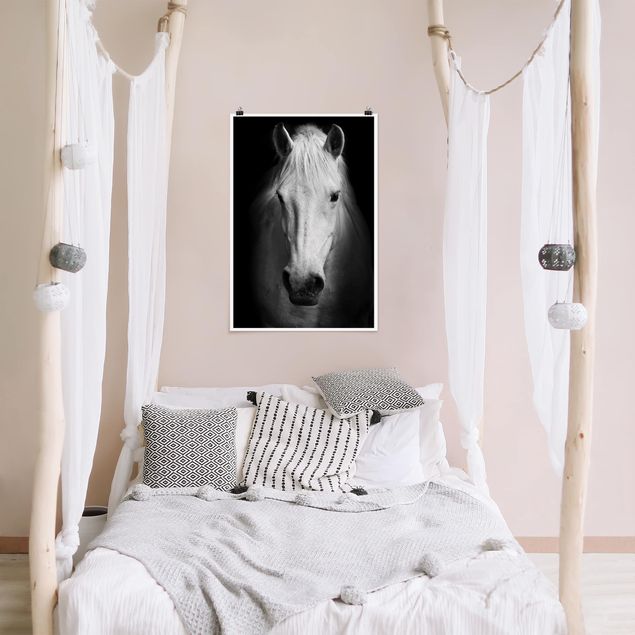 Poster - Dream of a Horse - Hochformat 3:2