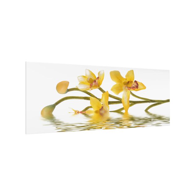 Küchenspritzschutz Saffron Orchid Waters