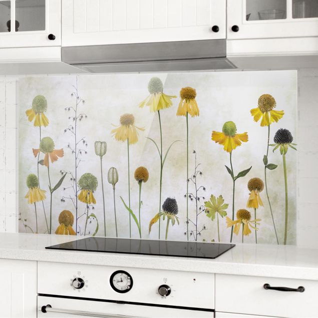 Glasrückwand Küche Blumen Zarte Helenium Blüten