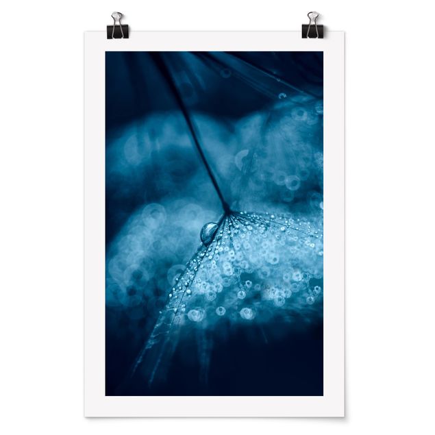 Moderne Poster Blaue Pusteblume im Regen