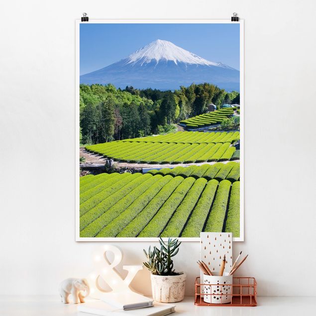 Poster Berge Teefelder vor dem Fuji