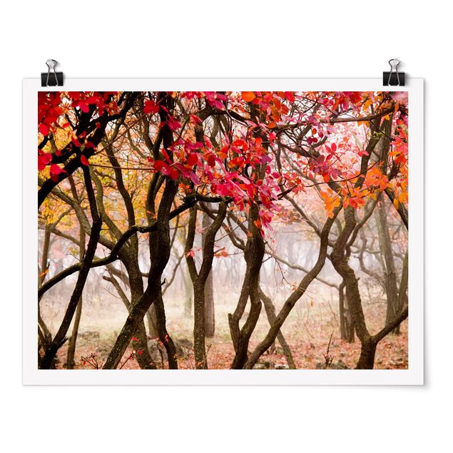 Wandbilder Japan im Herbst