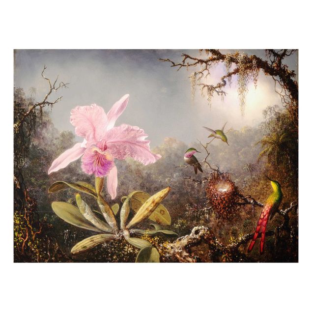 Foto auf Hartschaumplatte Martin Johnson Heade - Orchidee und drei Kolibris