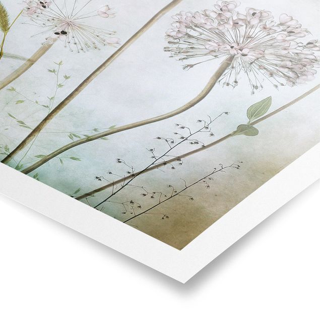 Poster - Lauchblüten in Pastell - Hochformat 3:2