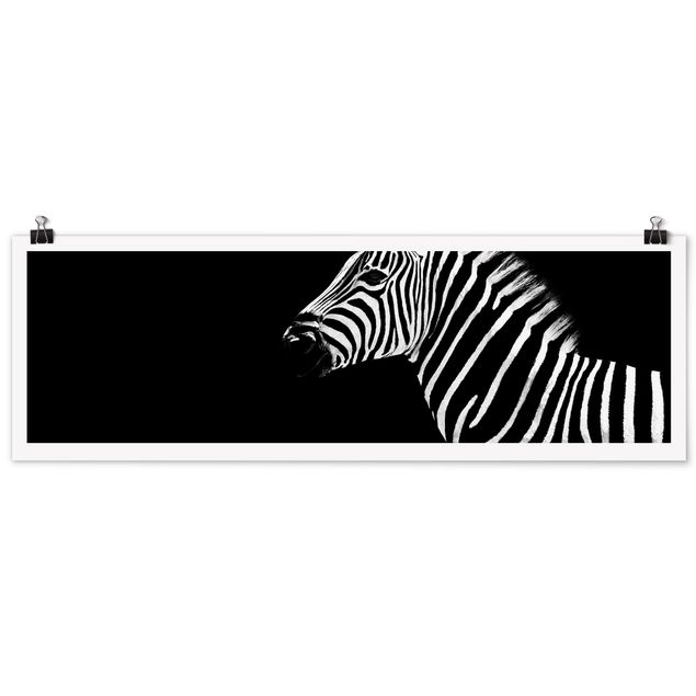 schöne Bilder Zebra Safari Art
