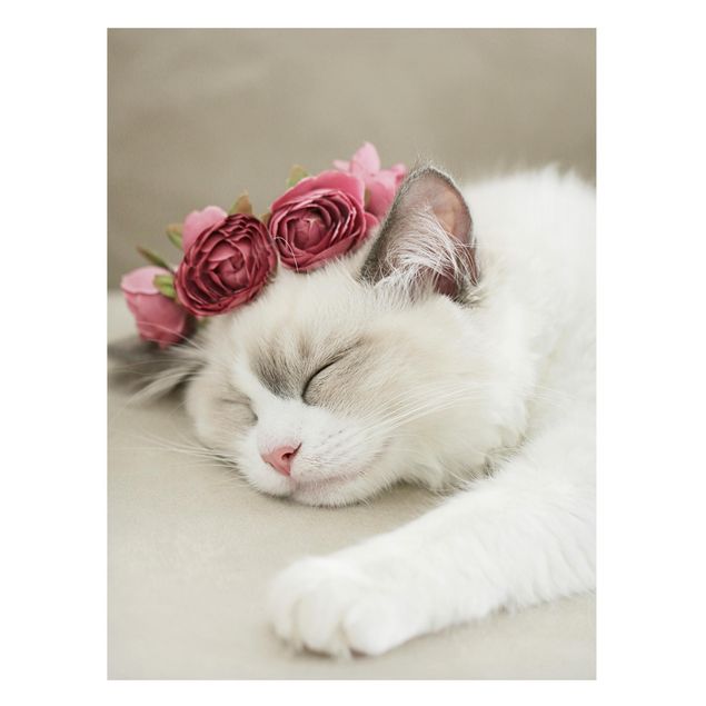 Magnettafel - Schlafende Katze mit Rosen - Hochformat 3:4