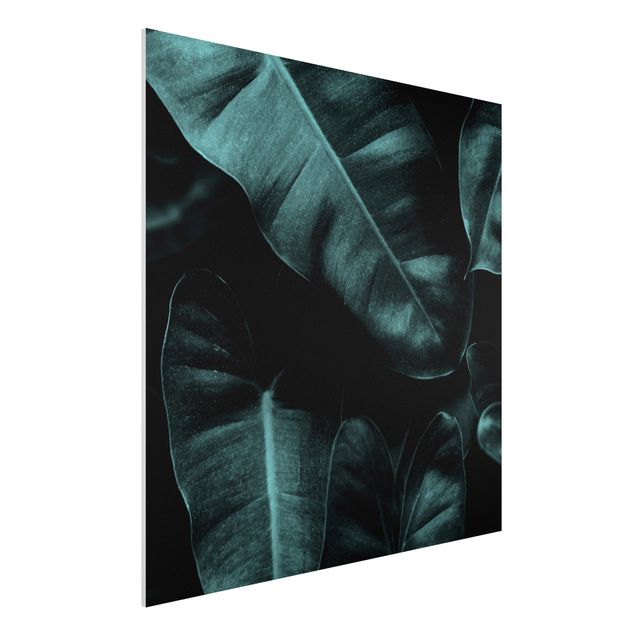 Kubistika Bilder Dschungel Blätter Dunkelgrün