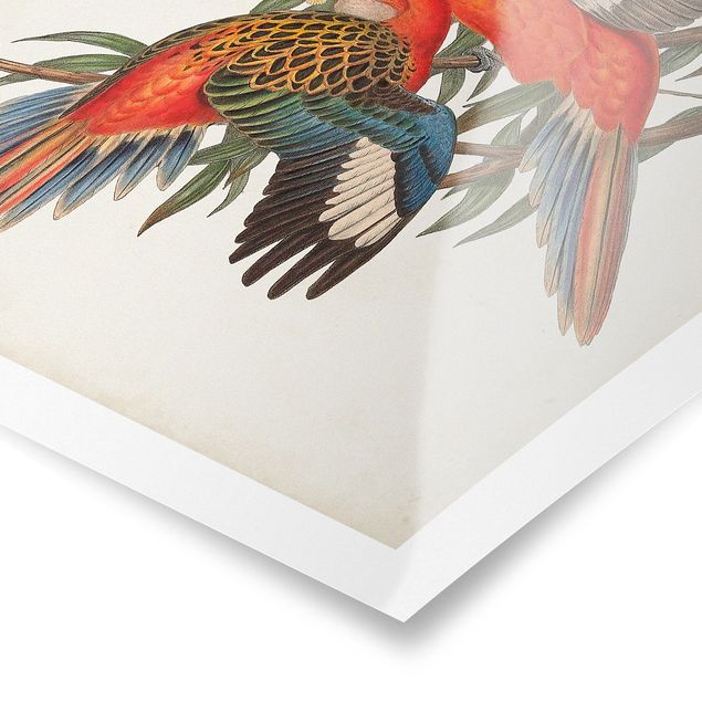 Poster - Tropische Papageien I - Hochformat 3:2
