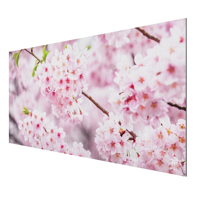 Alu-Dibond - Japanische Kirschblüten - Hochformat