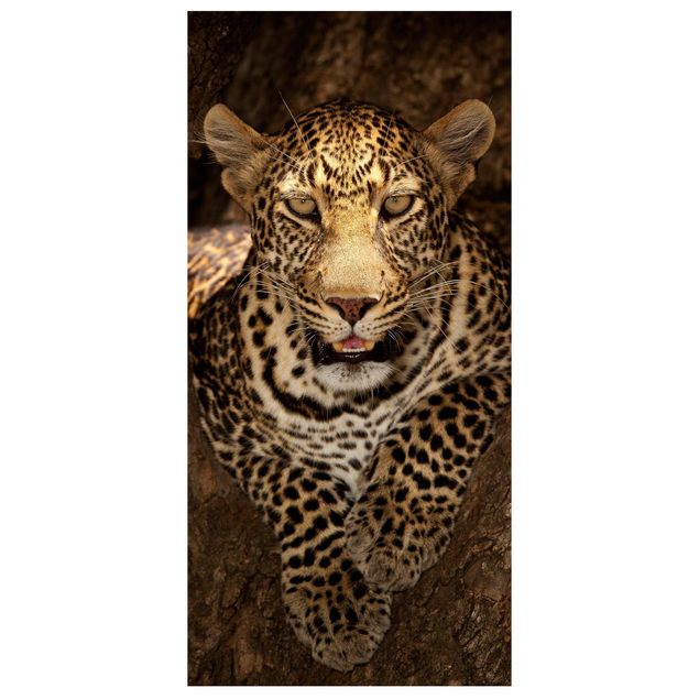 Raumteiler - Leopard Ruht Auf Einem Baum 250x120cm