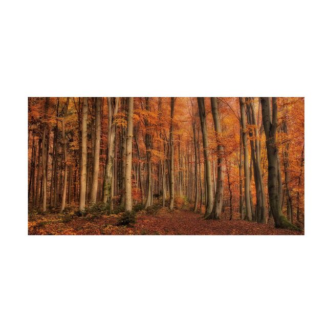 Wald Teppich Herbstspaziergang