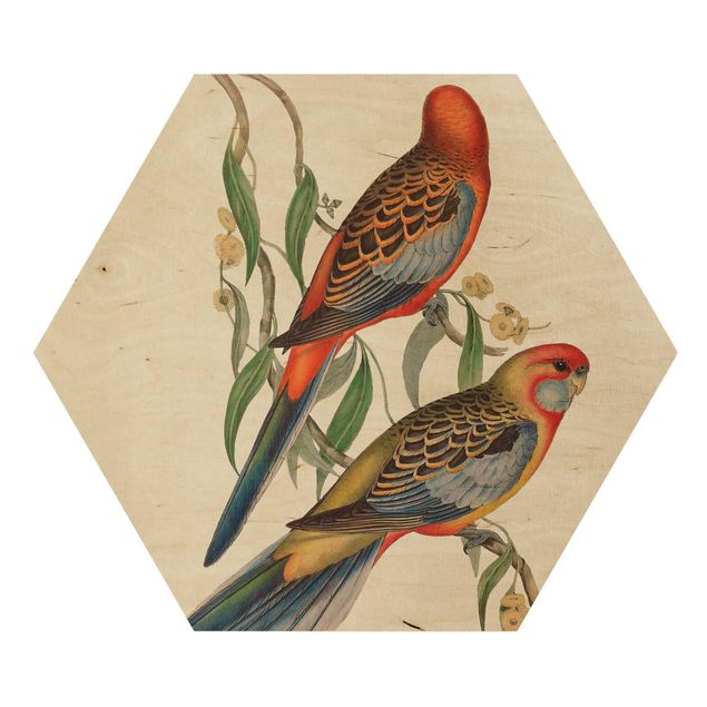 Hexagon Bild Holz - Tropische Papageien II