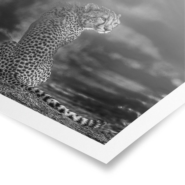 Poster Gepard in der Wildness