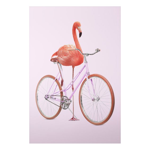 Bilder Flamingo mit Fahrrad