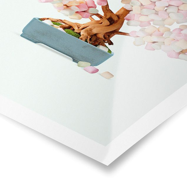 Poster bestellen Bonsai mit Marshmallows