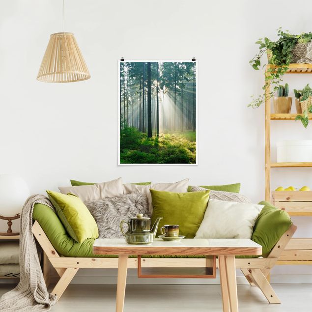 Poster Landschaft Enlightened Forest