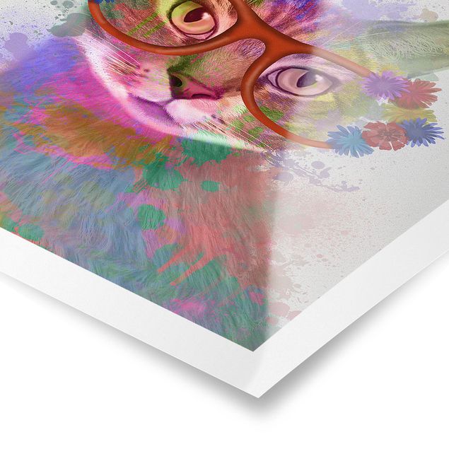 Poster Regenbogen Splash Katze
