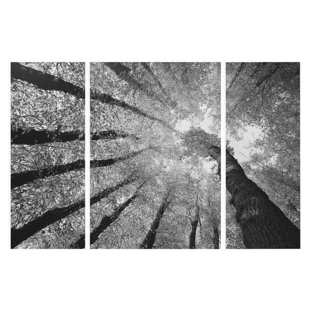 Leinwandbild 3-teilig - Bäume des Lebens II - Triptychon