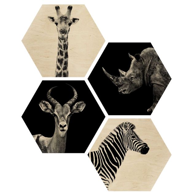 Hexagon Bild Holz 4-teilig - Safari Quartett