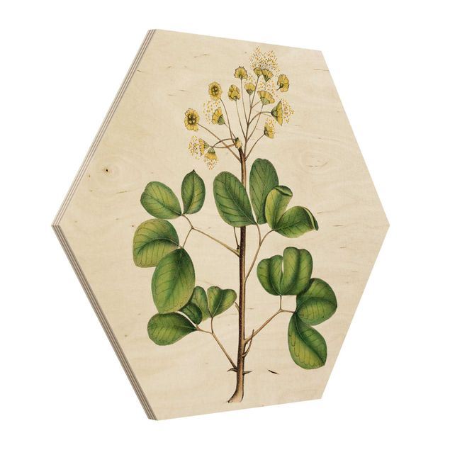 Hexagon Bild Holz - Laubwerk mit Blüten IV