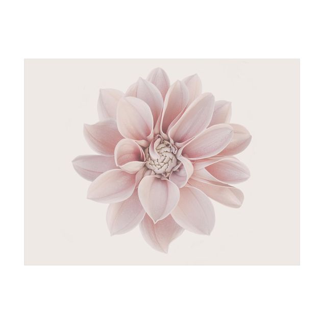 Teppich beige Dahlie Blume Pastell Weiß Rosa