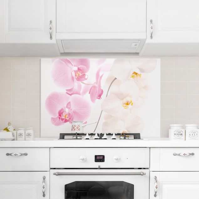 Glasrückwand Küche Blumen Delicate Orchids