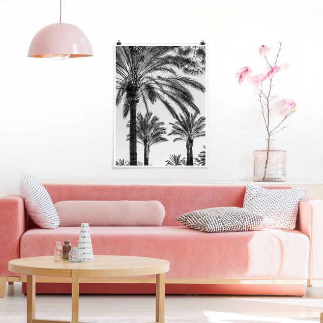 Poster Landschaft Palmen im Sonnenuntergang Schwarz-Weiß