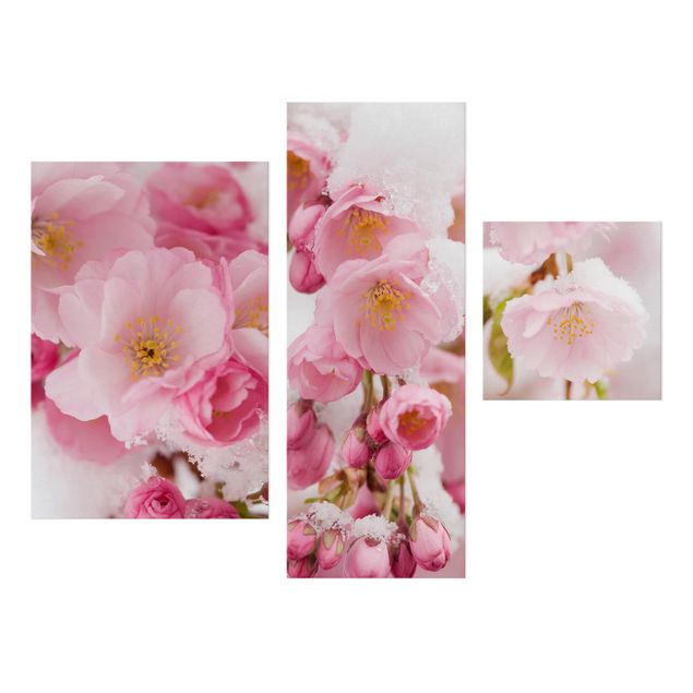 Leinwandbild 3-teilig - Schneebedeckte Kirschblüten - Collage 1