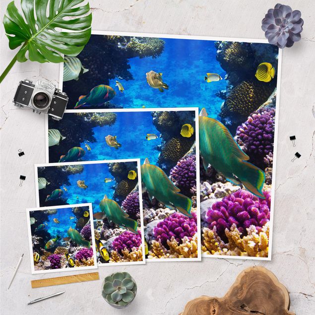 Poster - Underwater Dreams - Quadrat 1:1