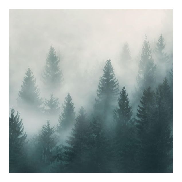 Fototapete - Nadelwald im Nebel - Fototapete