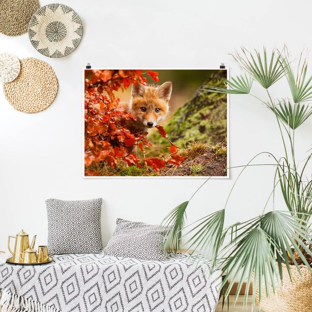 Poster - Fuchs im Herbst - Querformat 3:4