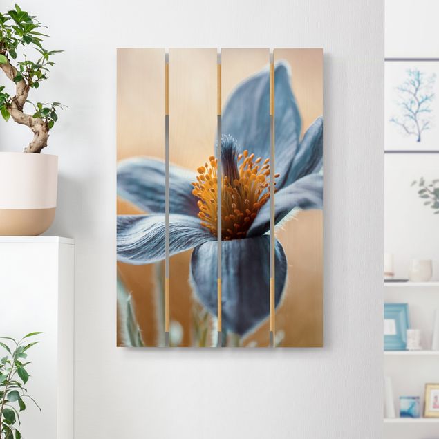 Holzbilder Blumen Kuhschelle in Blau