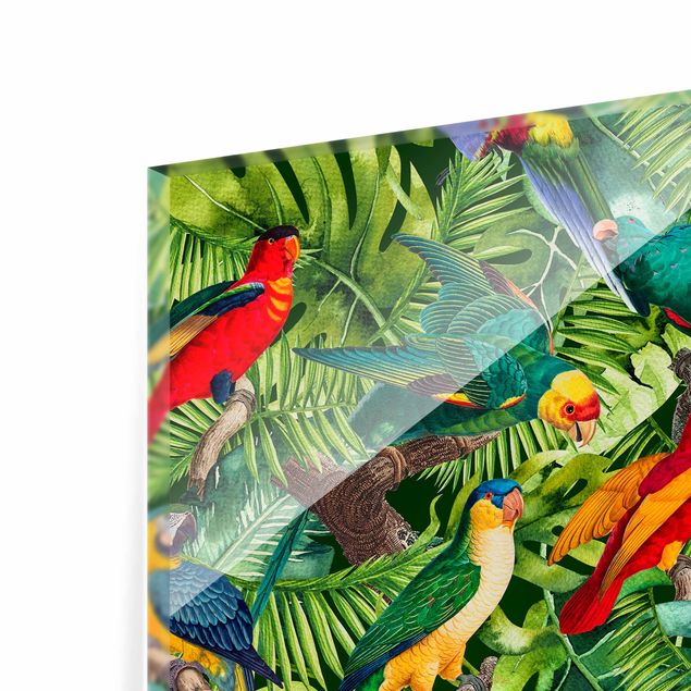 Spritzschutz Glas - Bunte Collage - Papageien im Dschungel - Quadrat 1:1