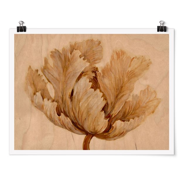 Bilder Sepia Tulpe auf Holz