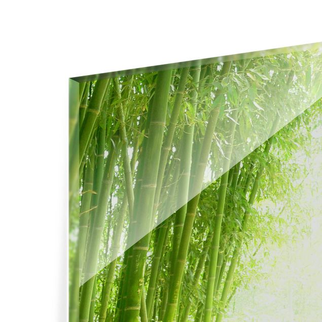 Glas Spritzschutz - Bamboo Way - Quadrat - 1:1