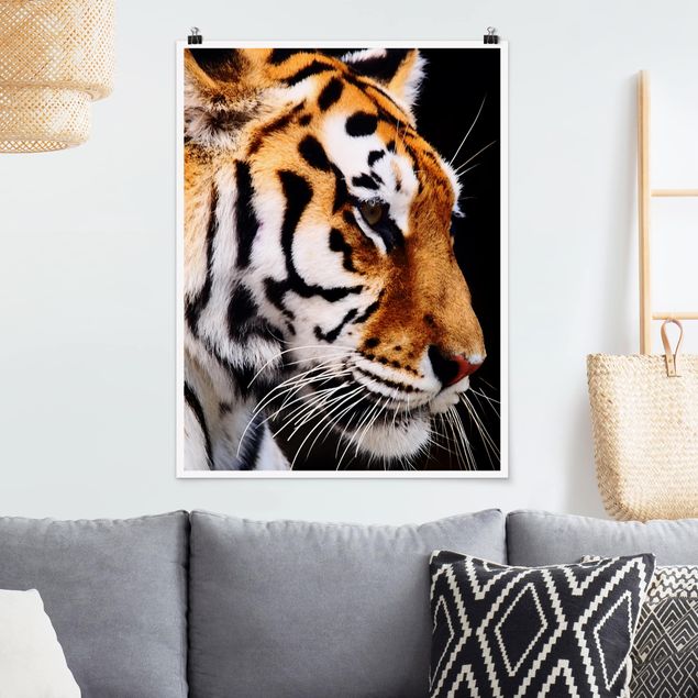 Riesenposter XXL Tiger Schönheit