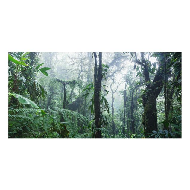 Spritzschutz Küche Monteverde Nebelwald