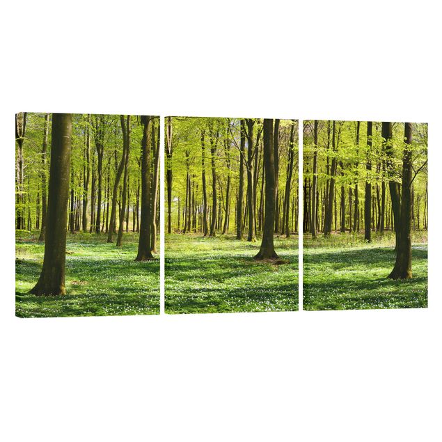 Leinwandbilder kaufen Waldwiese