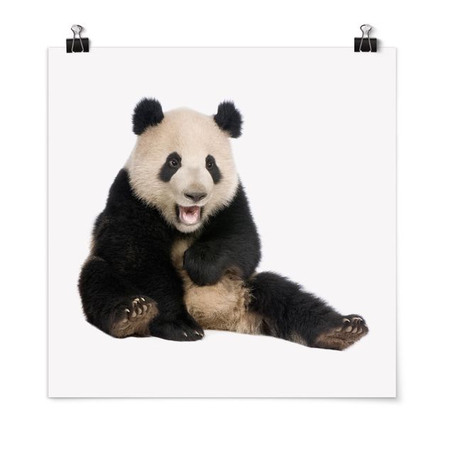 Moderne Poster Lachender Panda
