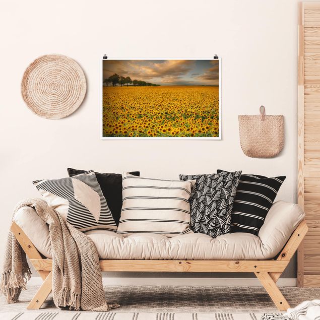 Landschaftsposter Feld mit Sonnenblumen