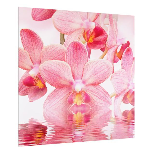 Spritzschutz Rosa Orchideen auf Wasser
