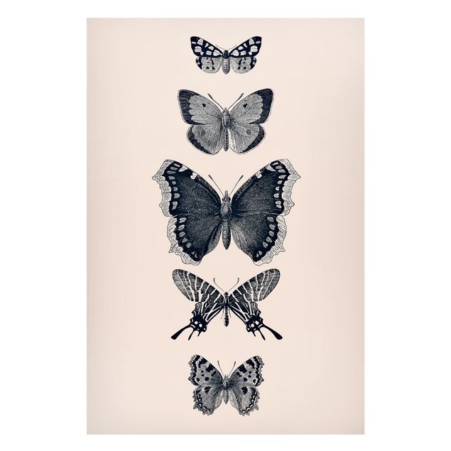 Magnettafel - Tusche Schmetterlinge auf Beige - Hochformat 2:3