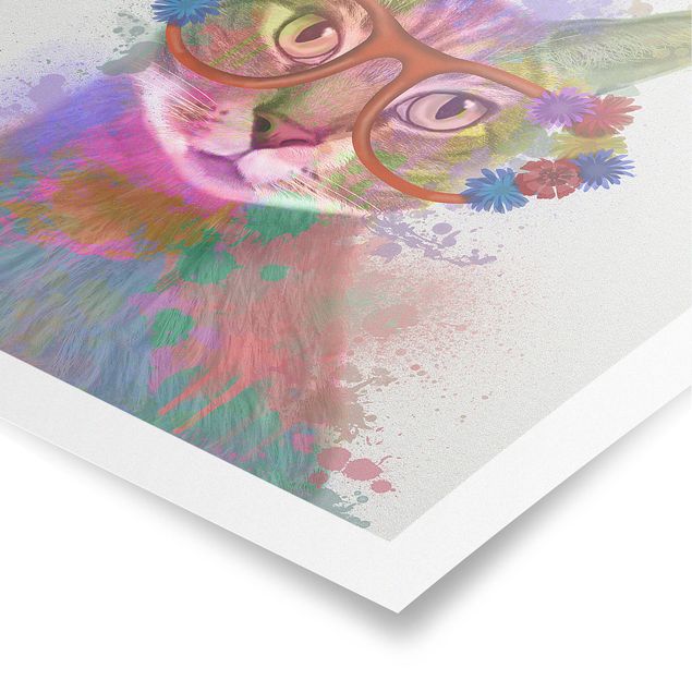 Moderne Poster Regenbogen Splash Katze