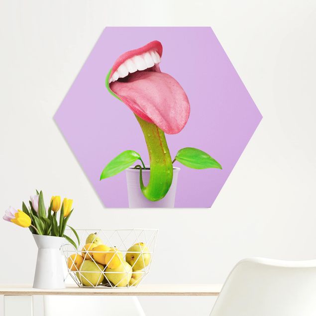 Jonas Loose Bilder Fleischfressende Pflanze mit Mund