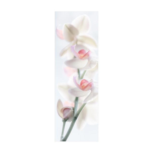 teppich mit blumenmuster Zerbrechliche Orchidee